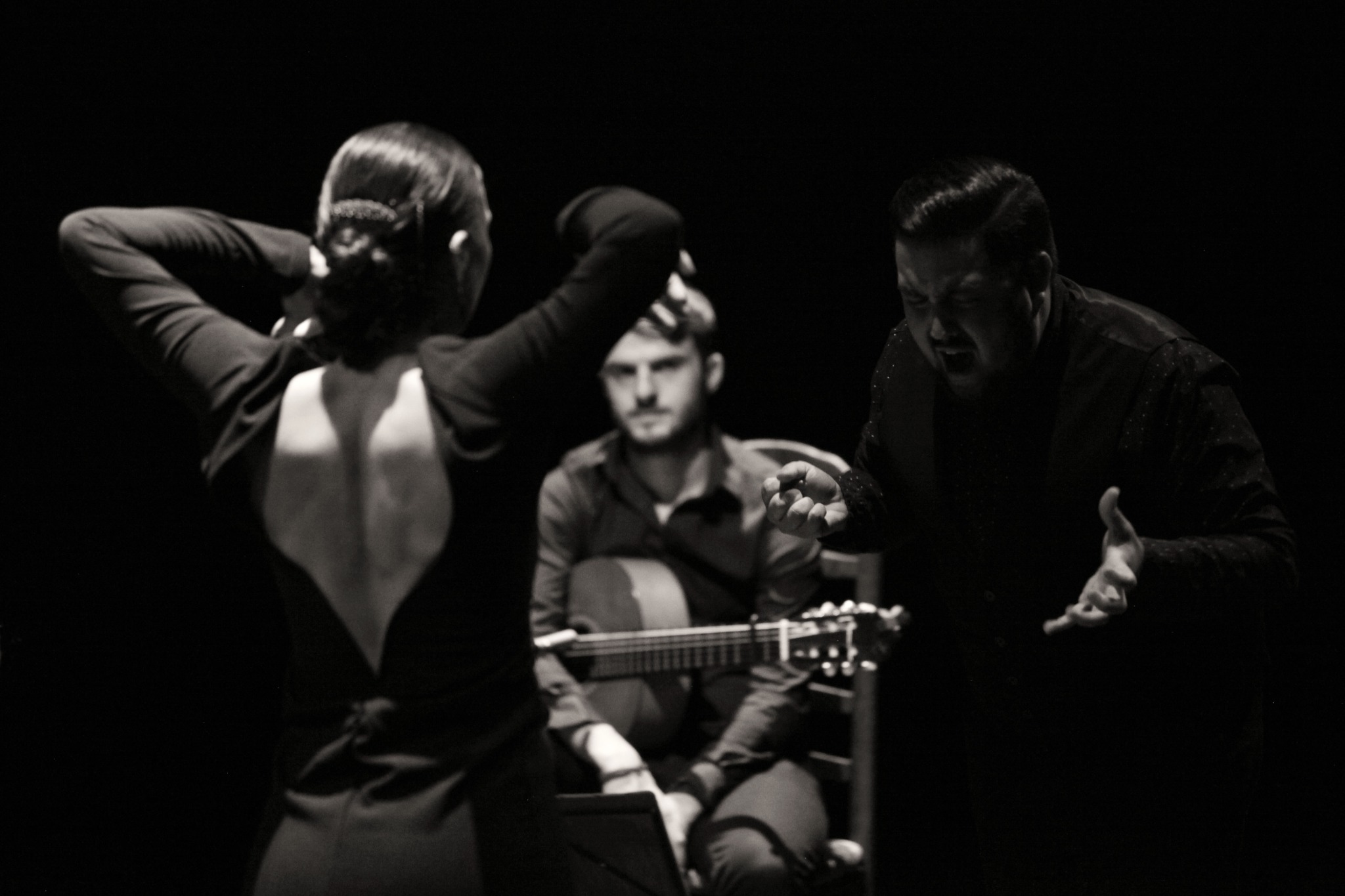 Flamencodans en gitaar
